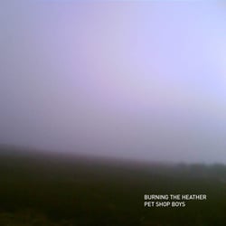 Burning The Heather (Feat. Years And Years) - édition limitée