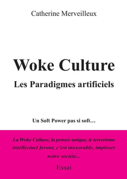 Woke culture, Les Paradigmes artificiels : Un Soft Power pas si soft...