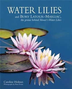 Water lilies and bory latour-marliac