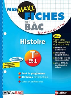 Mes MAXI Fiches Histoire Terminale ES.L