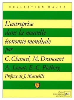 L'entreprise dans la nouvelle économie mondiale