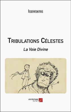 Tribulations Célestes : La Voie Divine