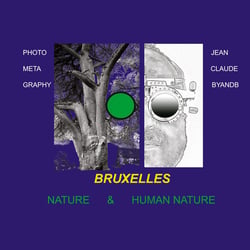 Meta photo graphy Hybrid : Extraits Exposition BRUXELLES 2024