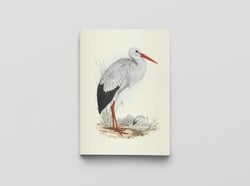 Carnet notes & lecture BNF : oiseaux d'Europe