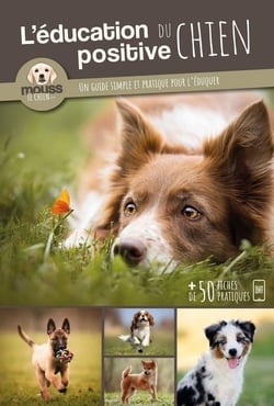 L'éducation positive du chien : un guide simple et pratique pour l'éduquer