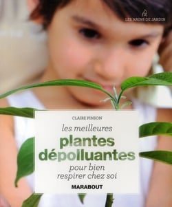 Les meilleures plantes dépolluantes pour bien respirer chez soi