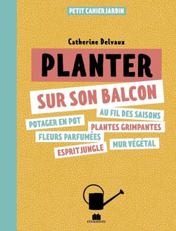 Planter sur son balcon