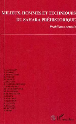 Milieux, hommes et techniques du sahara prehistorique - problemes actuels