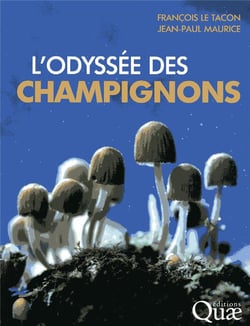 L'odyssée des champignons
