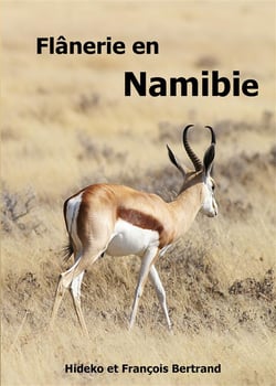 Flânerie en namibie