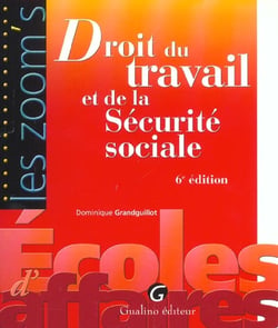 Zoom's droit du travail et de la securite sociale 6e (6e edition)