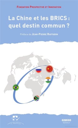 La chine et les brics : quel destin commun ?