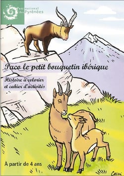 Paco, le petit bouquetin ibérique - histoire à colorier et cahier d'activités