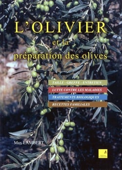 L'olivier et la préparation des olives