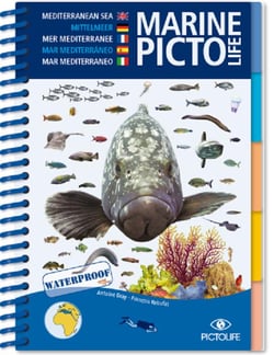 Marine Pictolife : Méditerranée