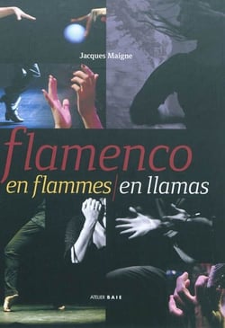 Flamenco en flammes / flamenco en llamas
