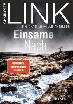 Einsame nacht