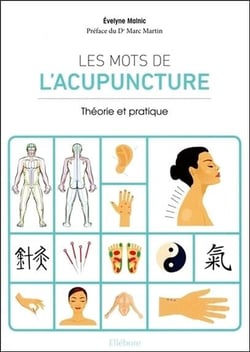 Les mots de l'acupuncture - initiation et définitions