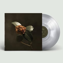 Young Sick Camellia - édition colorée