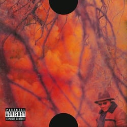 Blank Face LP - édition colorée