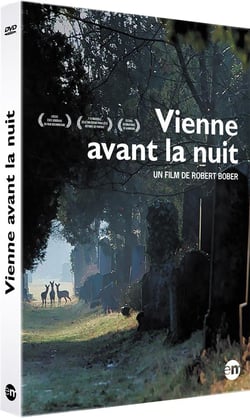 Vienne avant la nuit