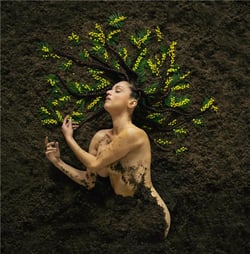 Mauvaise Graine - CD