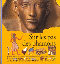 Sur les pas des pharaons au bord du nil, il y a 5000 ans, la vie fascinante des anciens egyptiens