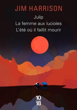 Big book julip / la femme aux lucioles / l'été où il faillit mourir