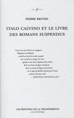 Italo calvino et le livre des romans suspendus