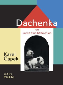 Dachenka ou la vie d'un bébé chien