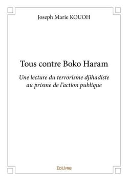 Tous contre boko haram - une lecture du terrorisme djihadiste au prisme de l'action publique