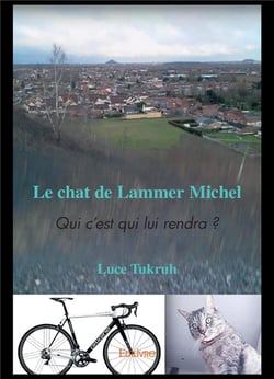 Le chat de lammer michel - qui c'est qui lui rendra ?