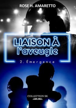 Liaison à l'aveugle Tome 2
