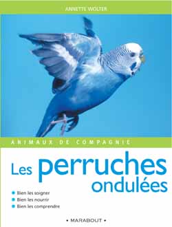 Animaux de compagnies : les perruches