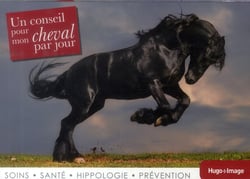 Un conseil pour mon cheval par jour