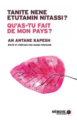 Qu as-tu fait de mon pays ? - tanite nene etutamin nitassi ?