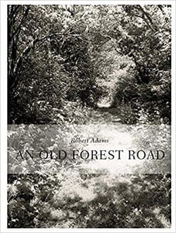 Robert adams an old forest road