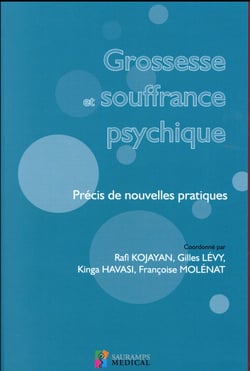 Grossesse et souffrance psychique - précis de nouvelles pratiques