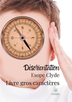 Désorientation