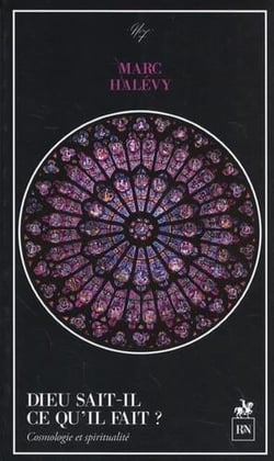 Dieu sait-il ce qu'il fait ? cosmologie et spiritualité
