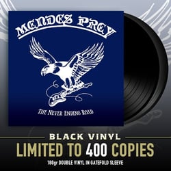 The Never Ending Road - édition limitée