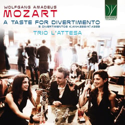 Mozart : A Taste for Divertimento - 5 Divertimentos K.Anh 229 - K.439b