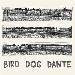 Bird dog dante