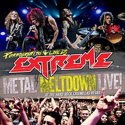 Pornograffitti live 25
