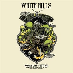 Live at the Roadburn 2011
