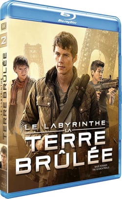 Le Labyrinthe : La Terre Brûlée
