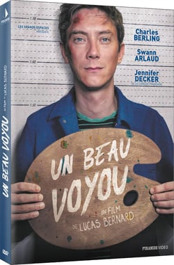 Un beau voyou