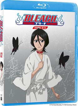 Bleach - Partie 2
