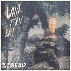 Hello are you real / Aron Dalesio