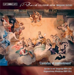 Secular cantatas Vol. 10